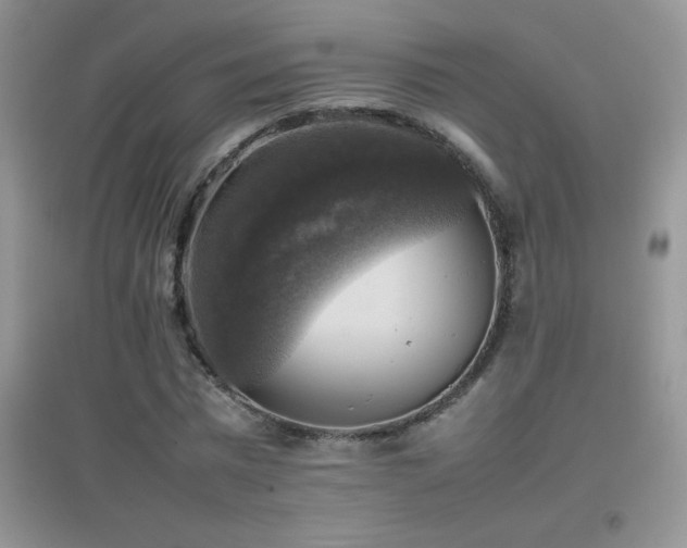 X0000097000777200802081443