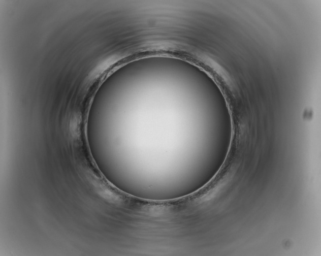 X0000097000778200802081443