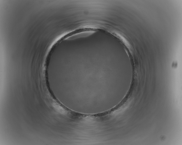 X0000097000779200802081443