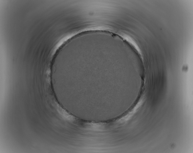 X0000097000781200802081443