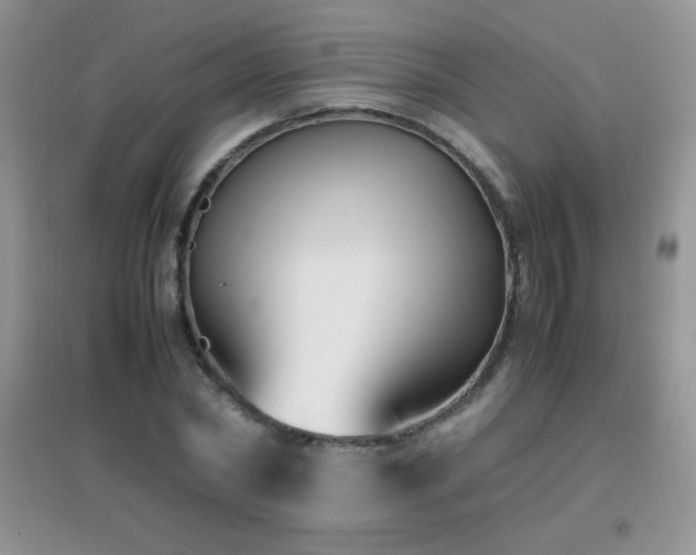 X0000097000782200802081443