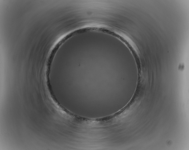 X0000097000783200802081443