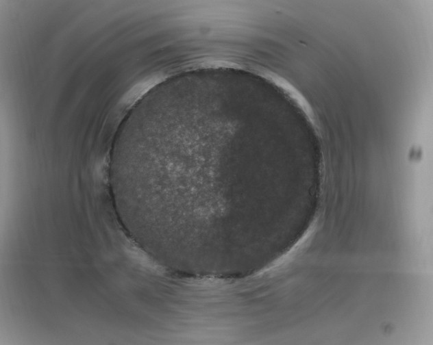 X0000097000785200802081443