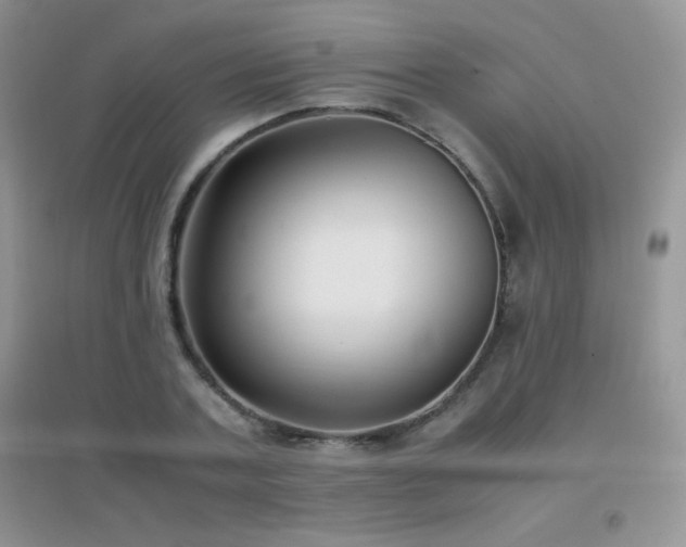 X0000097000787200802081443
