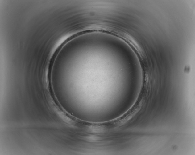 X0000097000788200802081443