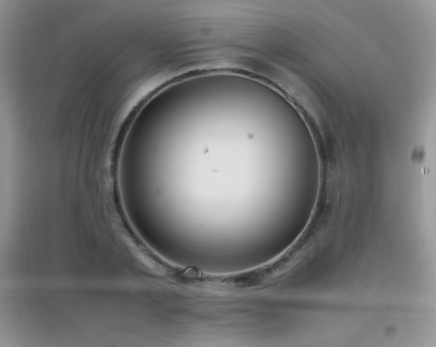 X0000097000789200802081443