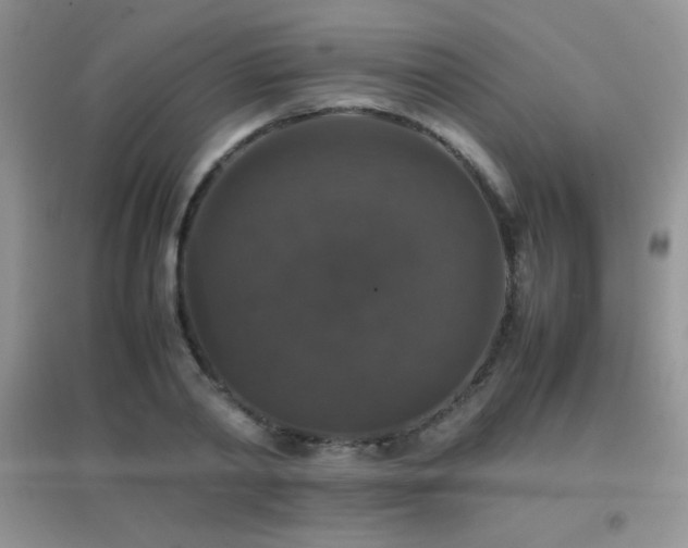 X0000097000790200802081443
