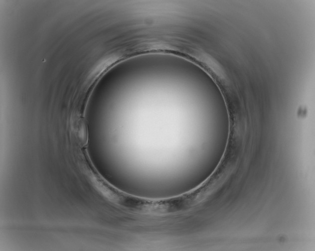 X0000097000793200802081443