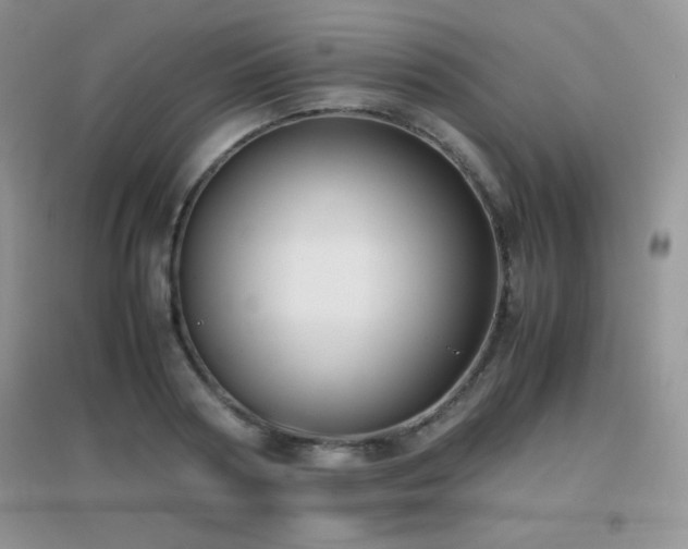 X0000097000794200802081443