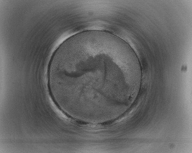 X0000097000795200802081443