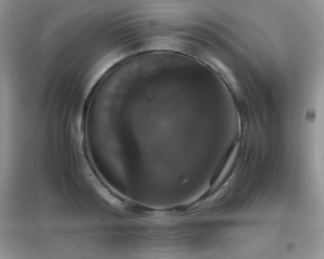 X0000097000796200802081443