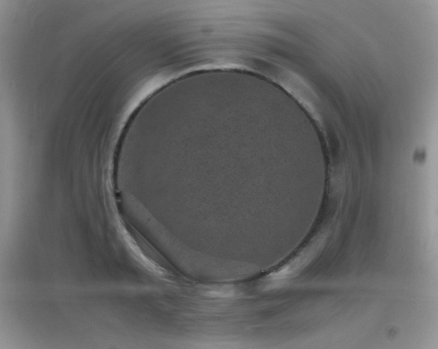 X0000097000797200802081443