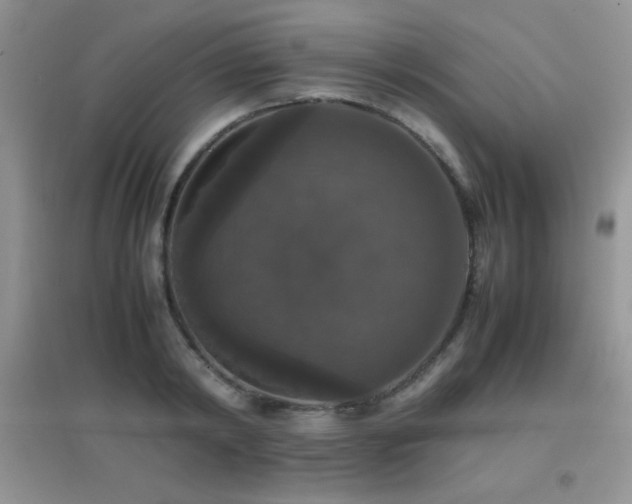 X0000097000798200802081443