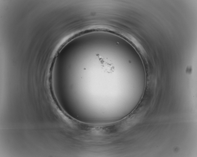 X0000097000799200802081443