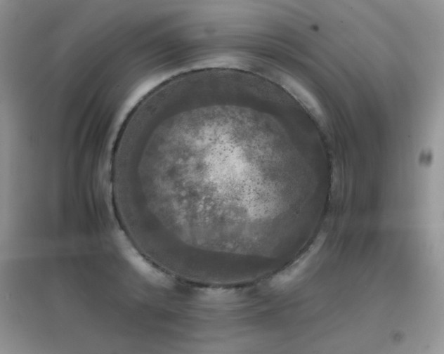 X0000097000800200802081443