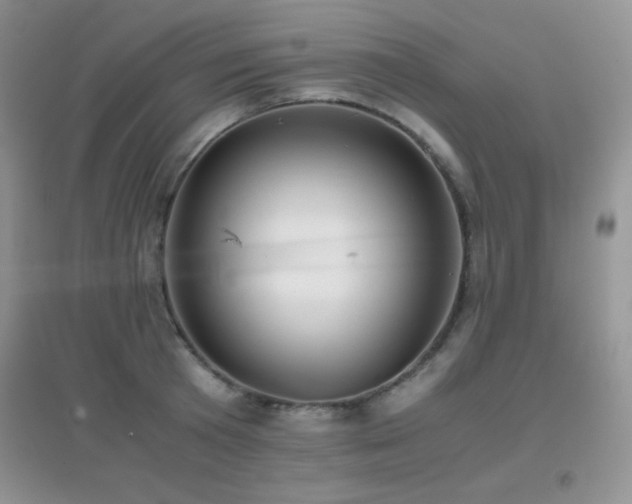 X0000097000801200802081443