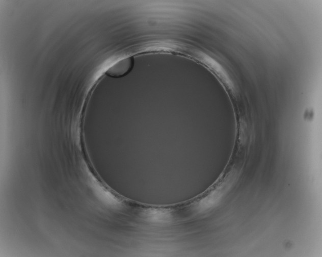 X0000097000802200802081443