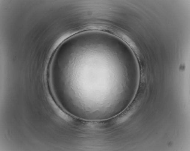 X0000097000803200802081443