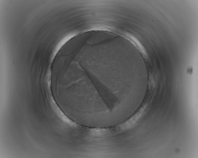 X0000097000804200802081443