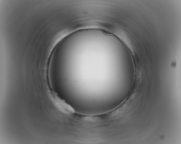 X0000097000805200802081443