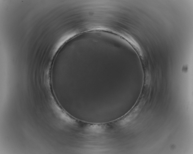 X0000097000806200802081443