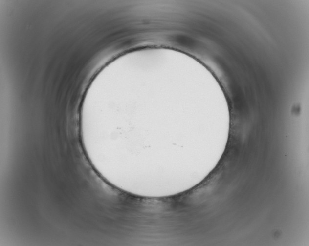 X0000097000807200802081443