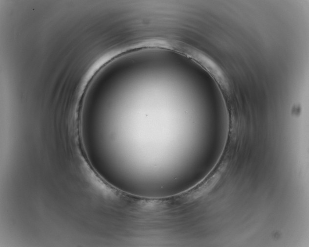 X0000097000808200802081443
