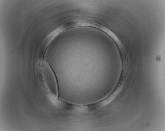X0000097000809200802081443