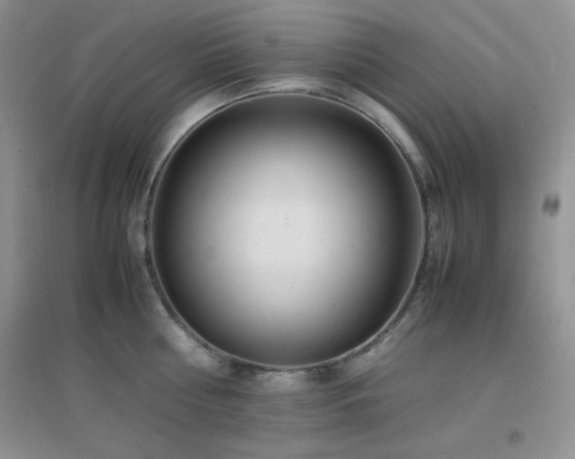 X0000097000810200802081443