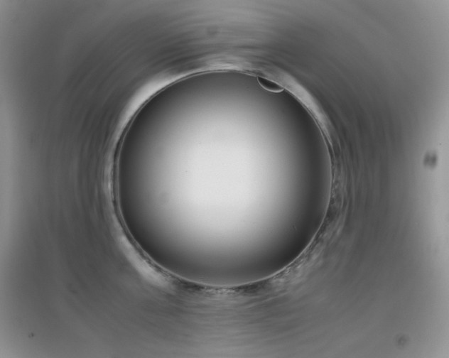 X0000097000811200802081443