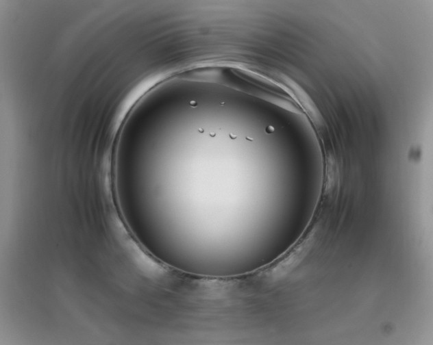 X0000097000812200802081442