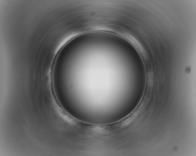 X0000097000814200802081442