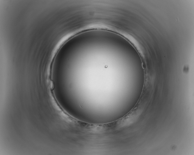 X0000097000815200802081442