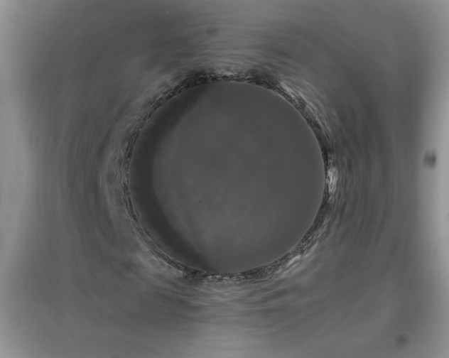 X0000097000817200802081442