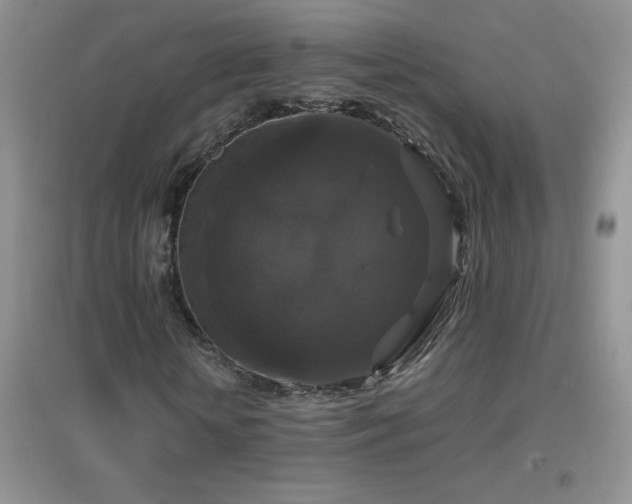 X0000097000818200802081442