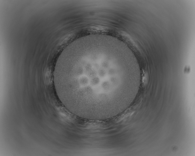 X0000097000819200802081442
