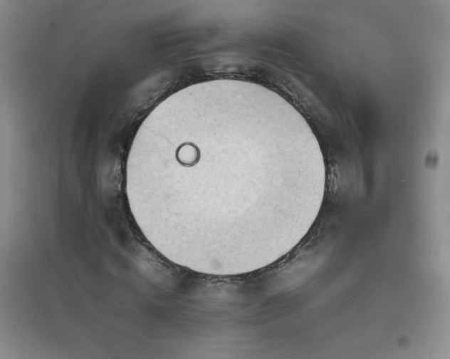 X0000097000820200802081442