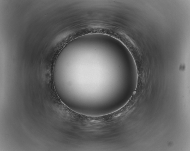 X0000097000821200802081442