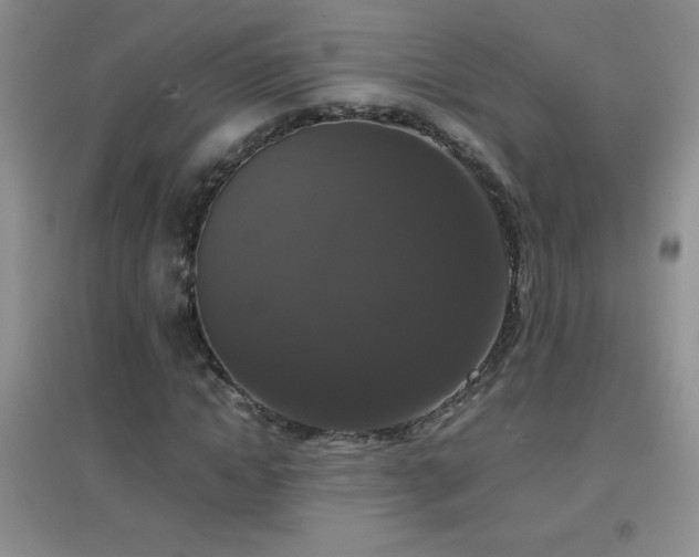 X0000097000822200802081442