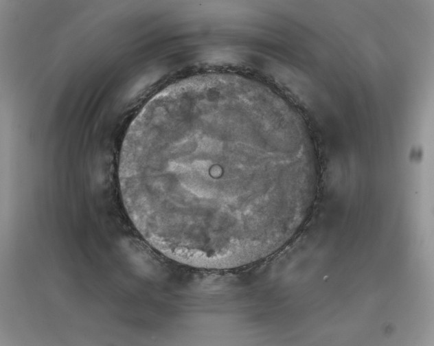X0000097000824200802081442