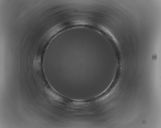 X0000097000825200802081442