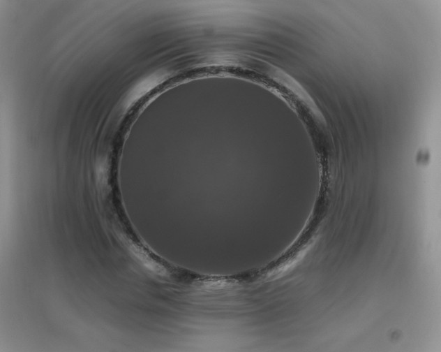 X0000097000826200802081442