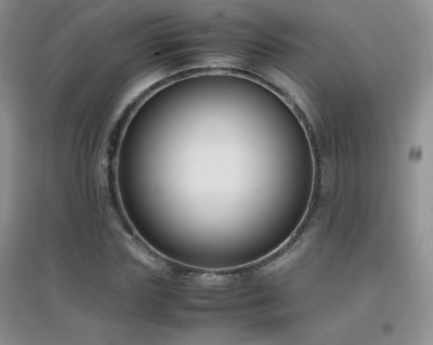 X0000097000827200802081442