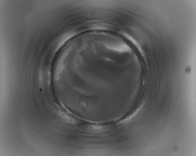 X0000097000829200802081442