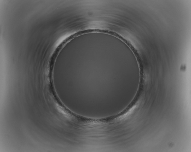X0000097000830200802081442