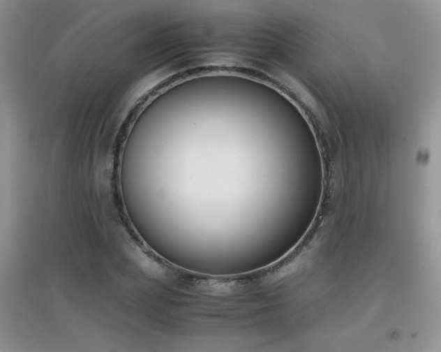 X0000097000831200802081442
