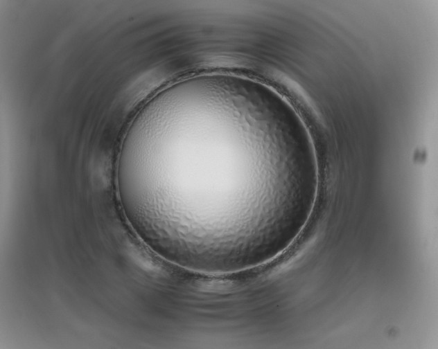 X0000097000833200802081442