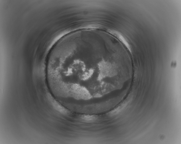 X0000097000835200802081442