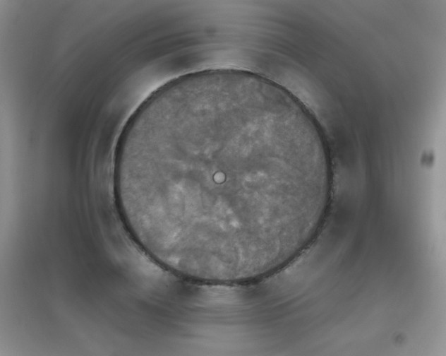 X0000097000836200802081442
