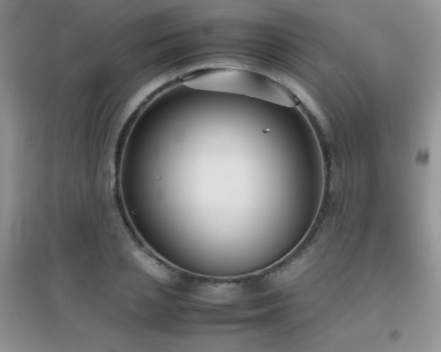 X0000097000837200802081442